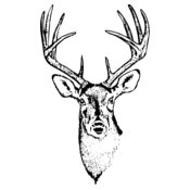 DEER010