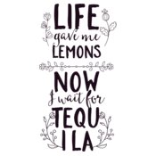 Life Gave Me Lemons Now I Wait For Tequila