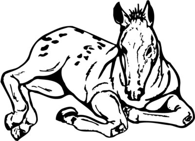 HORSE042