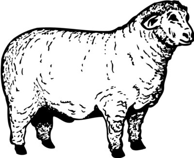 SHEEP012