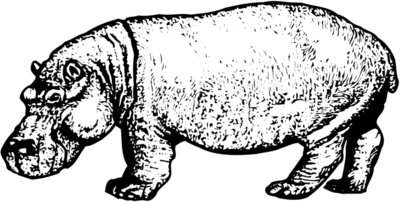 HIPPO002